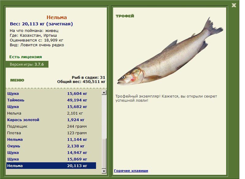 Нельма 