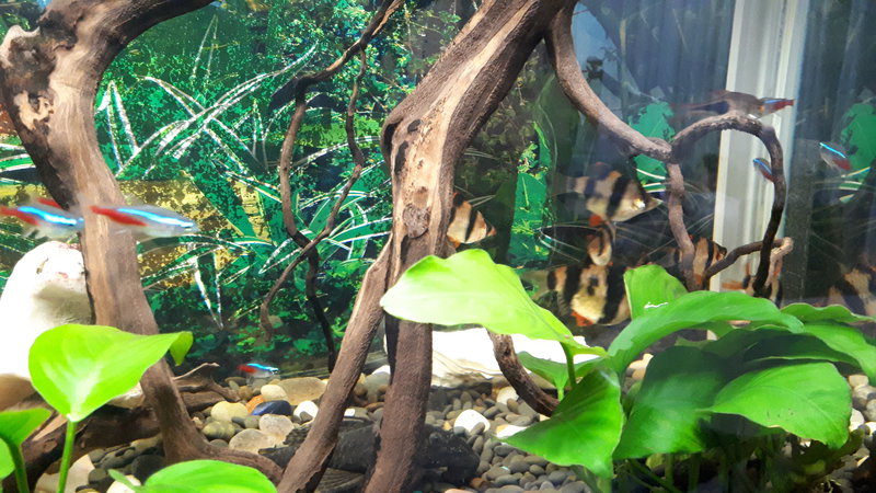  Редактировать сообщение