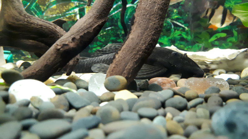  Редактировать сообщение