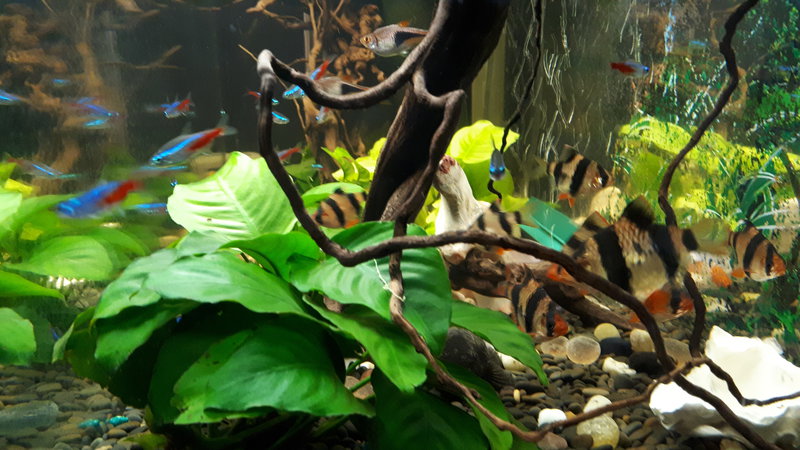  Редактировать сообщение