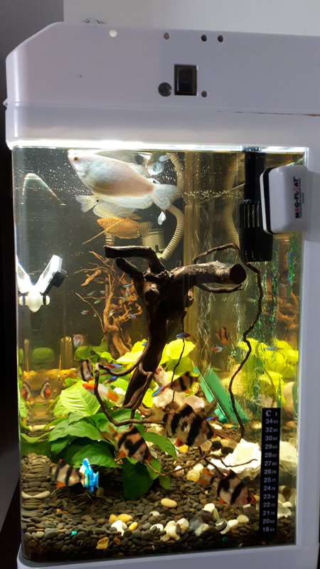  Редактировать сообщение