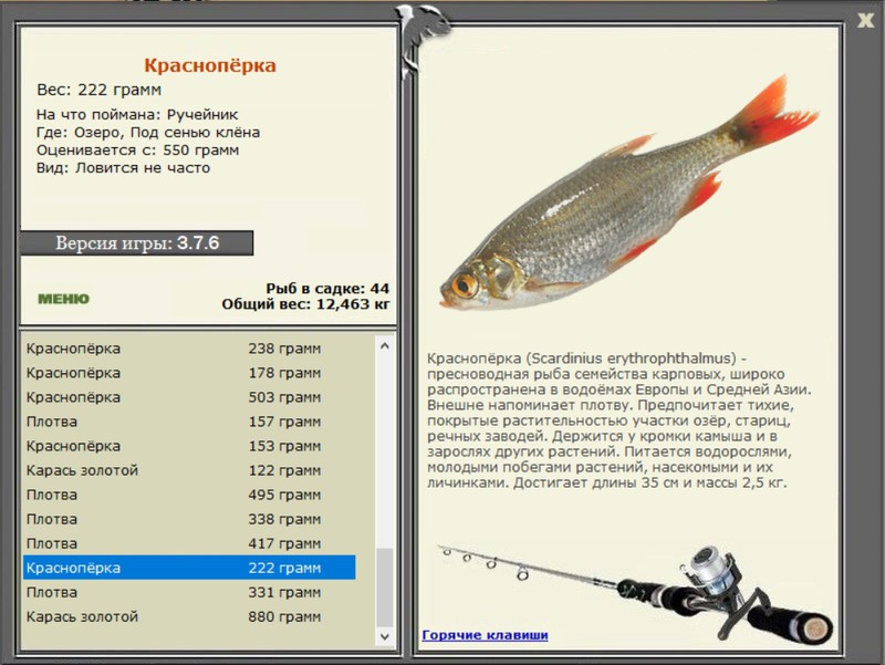 РУССКАЯ РЫБАЛКА Installsoft Edition 