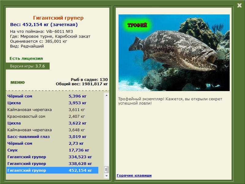 Гигантский групер 