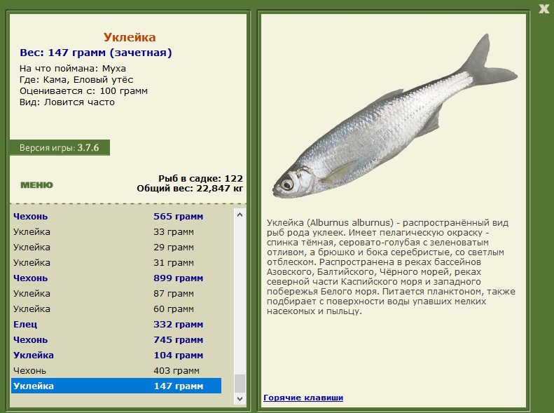 турниры • РУССКАЯ РЫБАЛКА