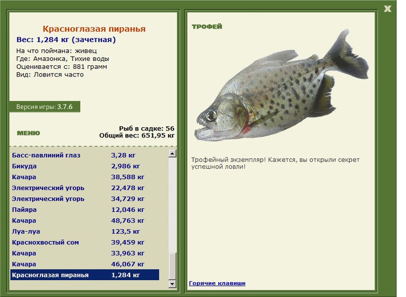 Красноглазая пиранья 