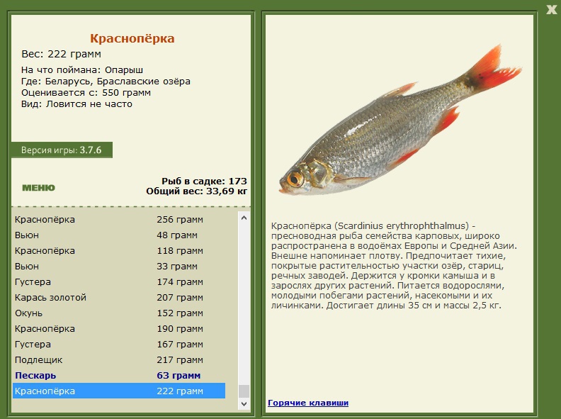 турниры • РУССКАЯ РЫБАЛКА
