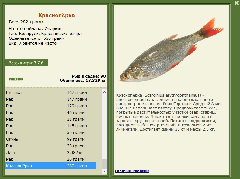 турниры • РУССКАЯ РЫБАЛКА