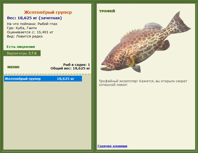турниры • РУССКАЯ РЫБАЛКА