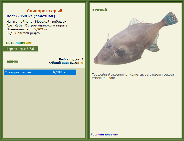 турниры • РУССКАЯ РЫБАЛКА