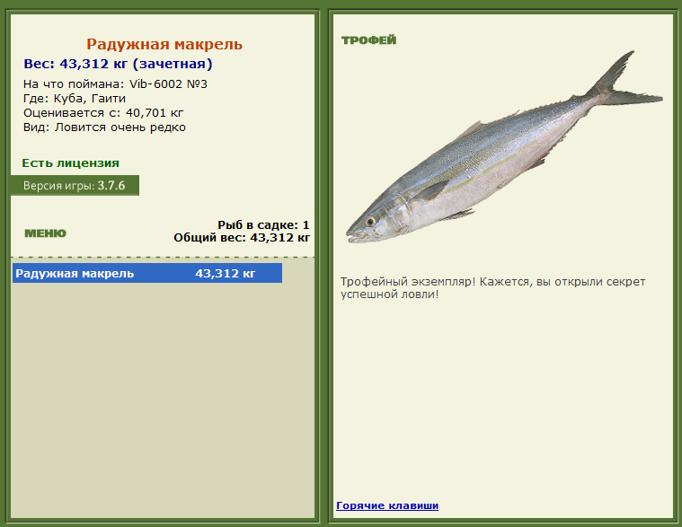 турниры • РУССКАЯ РЫБАЛКА