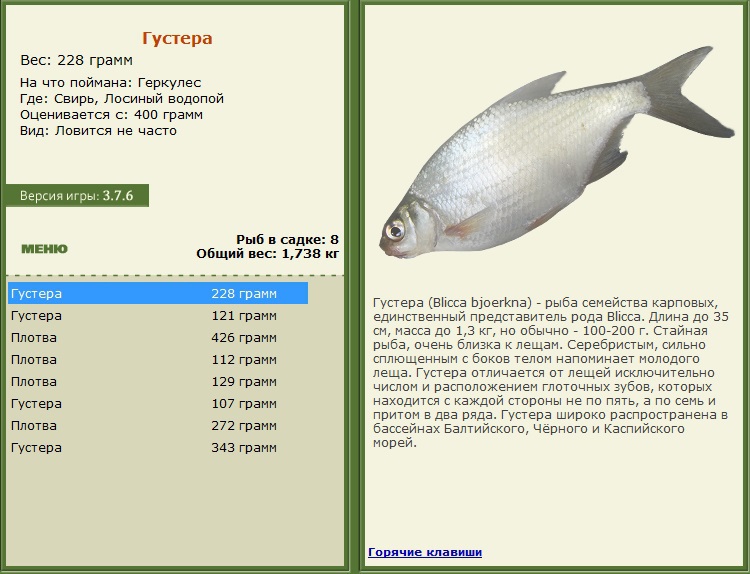 турниры • РУССКАЯ РЫБАЛКА