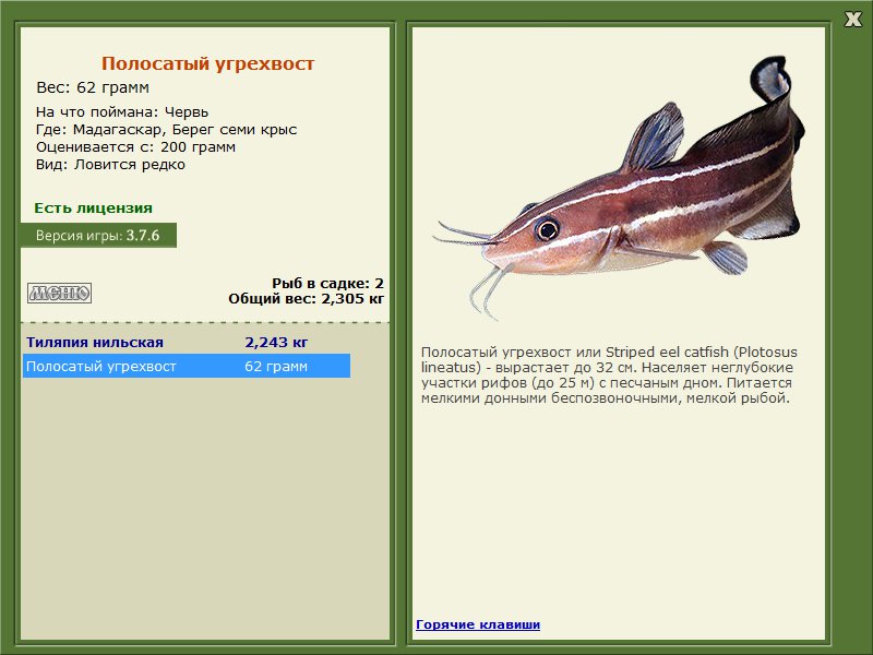 Берег семи крыс 