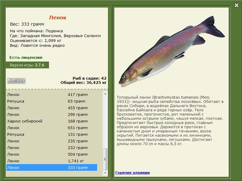 Верховья Селенги 