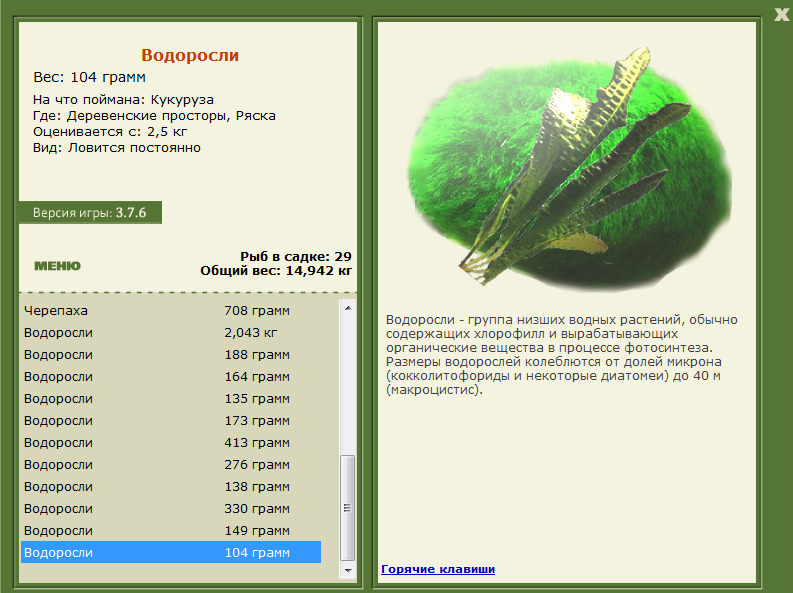 Ряска 