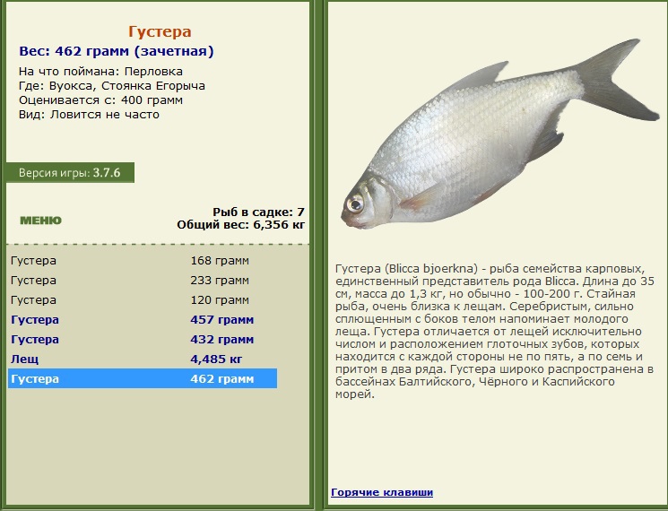 турниры • РУССКАЯ РЫБАЛКА