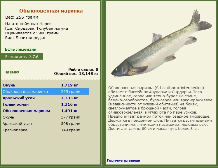 турниры • РУССКАЯ РЫБАЛКА