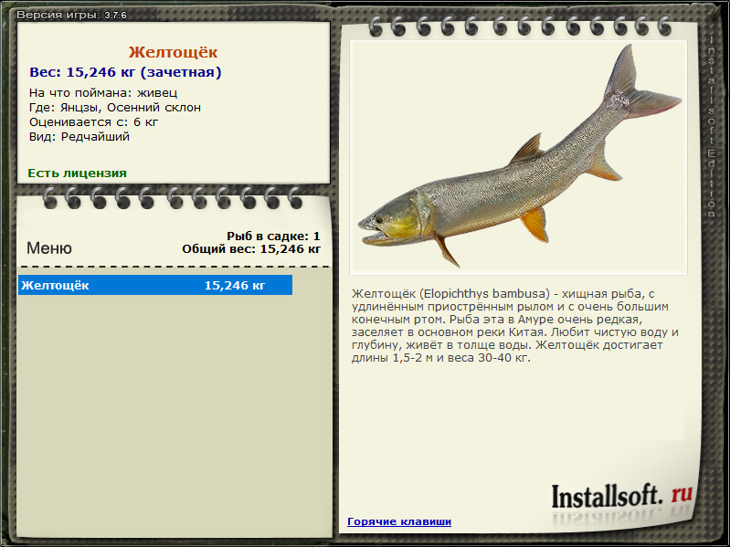 турниры • РУССКАЯ РЫБАЛКА