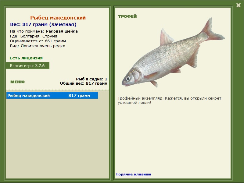 Рыбец македонский 
