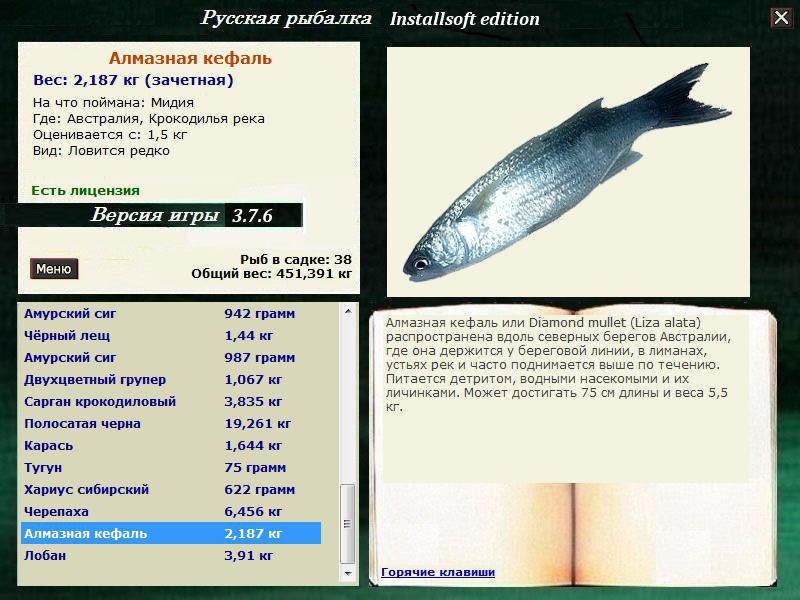 Крокодилья река 