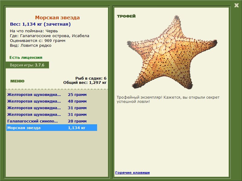 Морская звезда 