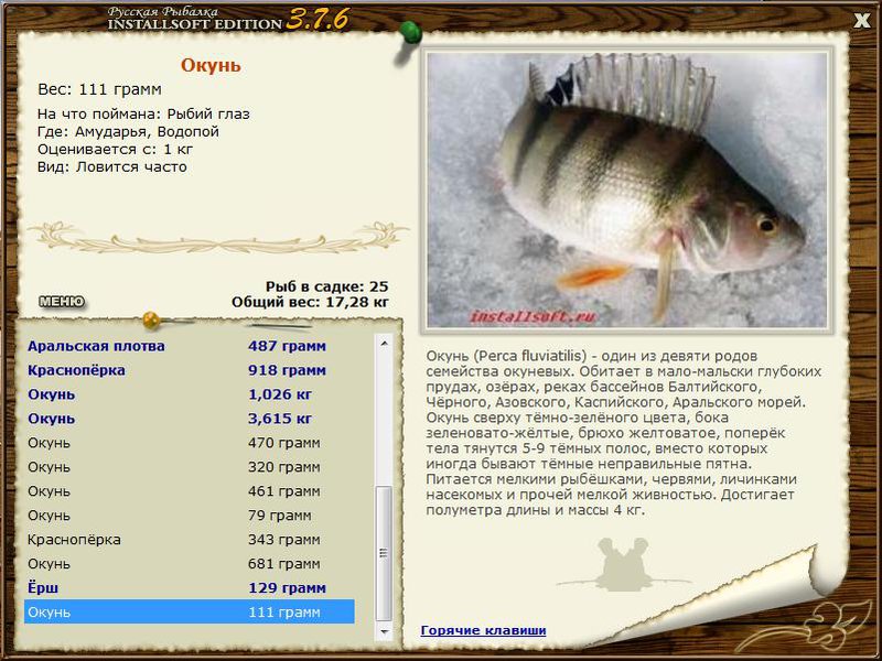 РУССКАЯ РЫБАЛКА Installsoft Edition 