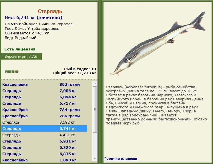 турниры • РУССКАЯ РЫБАЛКА