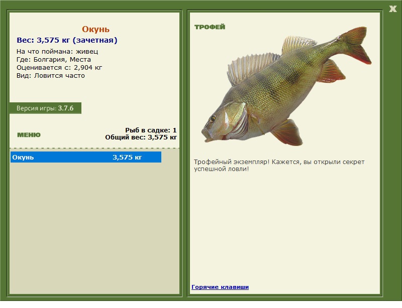 турниры • РУССКАЯ РЫБАЛКА