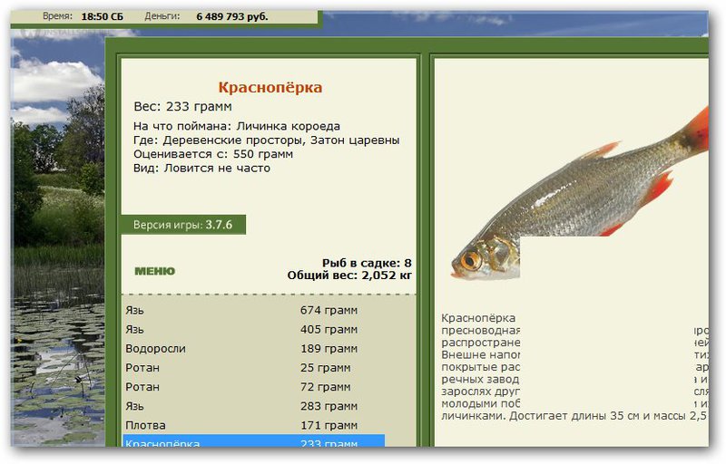 Затон царевны 
