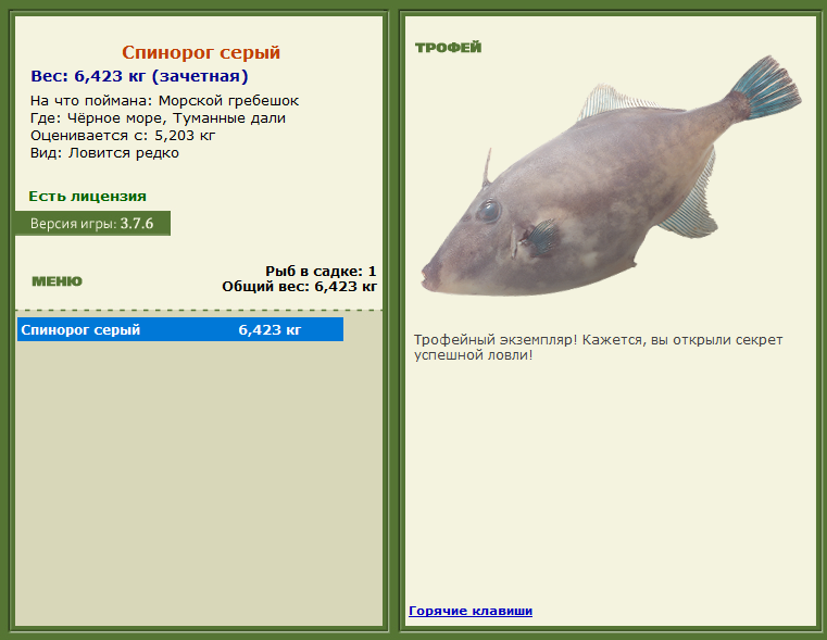 турниры • РУССКАЯ РЫБАЛКА