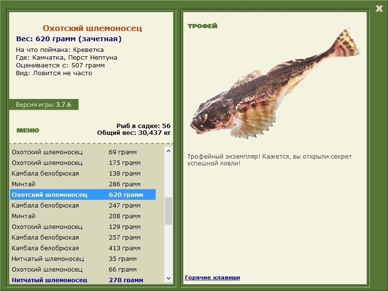 турниры • РУССКАЯ РЫБАЛКА