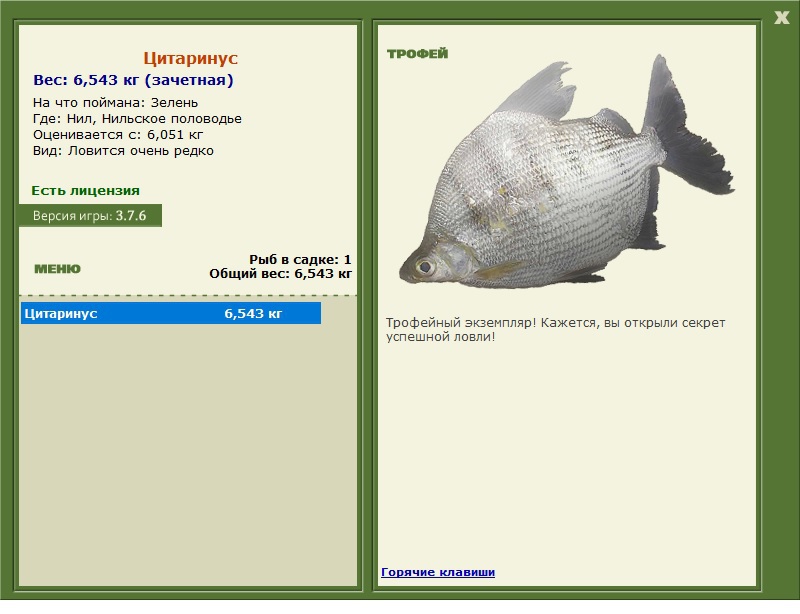 Цитаринус 