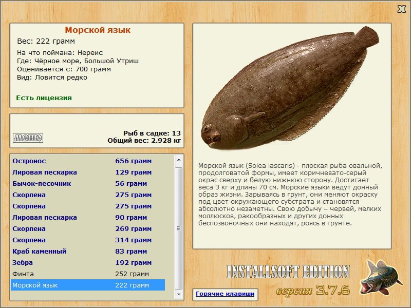 турниры • РУССКАЯ РЫБАЛКА