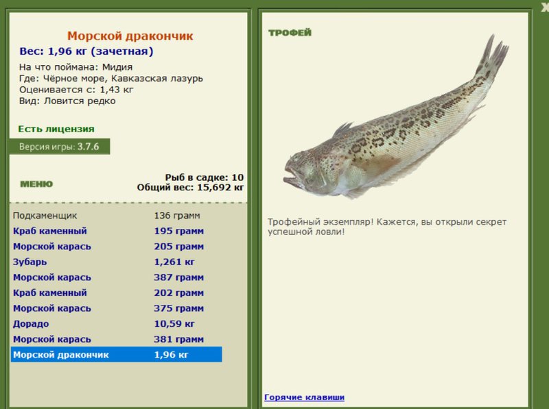 Морской дракончик 