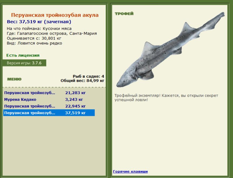Перуанская тройнозубая акула 