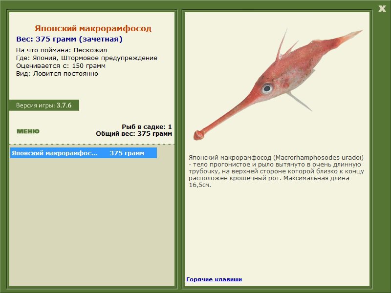 Штормовое предупреждение 