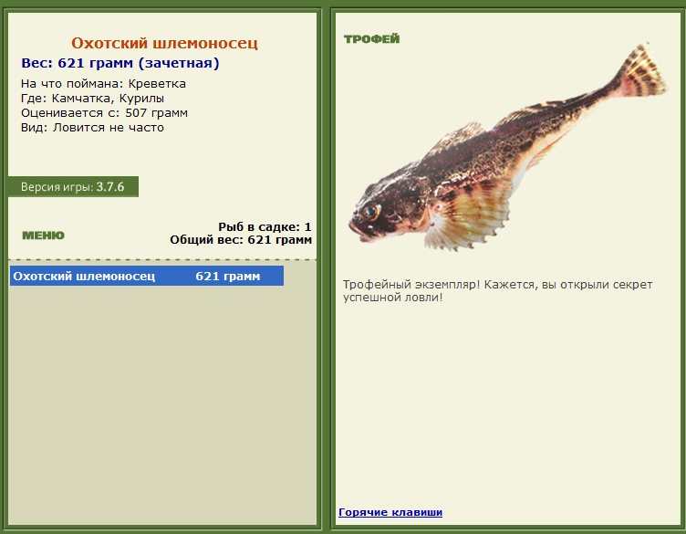 турниры • РУССКАЯ РЫБАЛКА