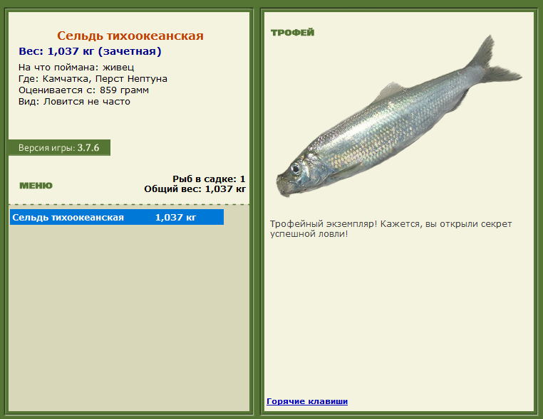 турниры • РУССКАЯ РЫБАЛКА