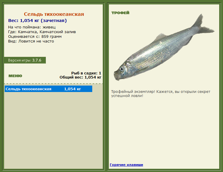 турниры • РУССКАЯ РЫБАЛКА