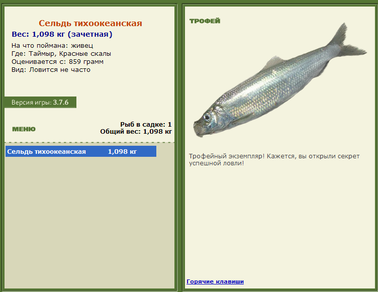 турниры • РУССКАЯ РЫБАЛКА