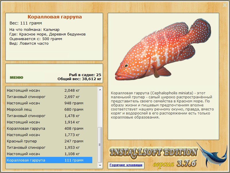  забор • Praise-турниры • РУССКАЯ РЫБАЛКА