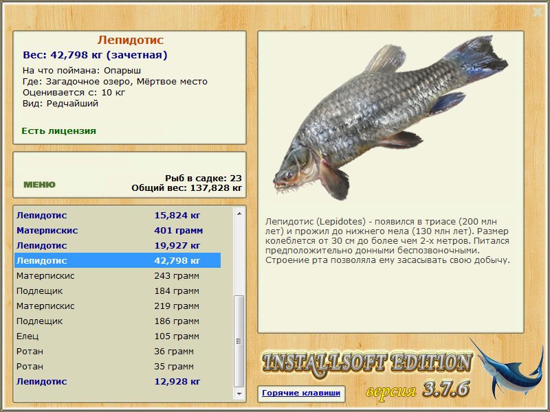 Мёртвое место 