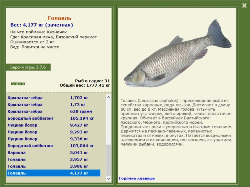 Вязовский перекат 
