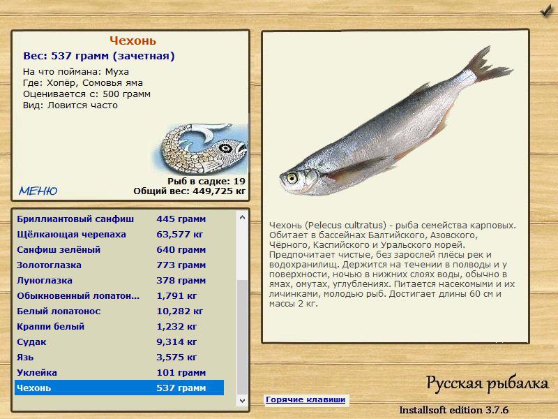 Сомовья яма 