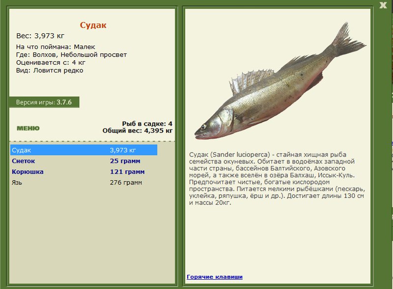 Небольшой просвет 