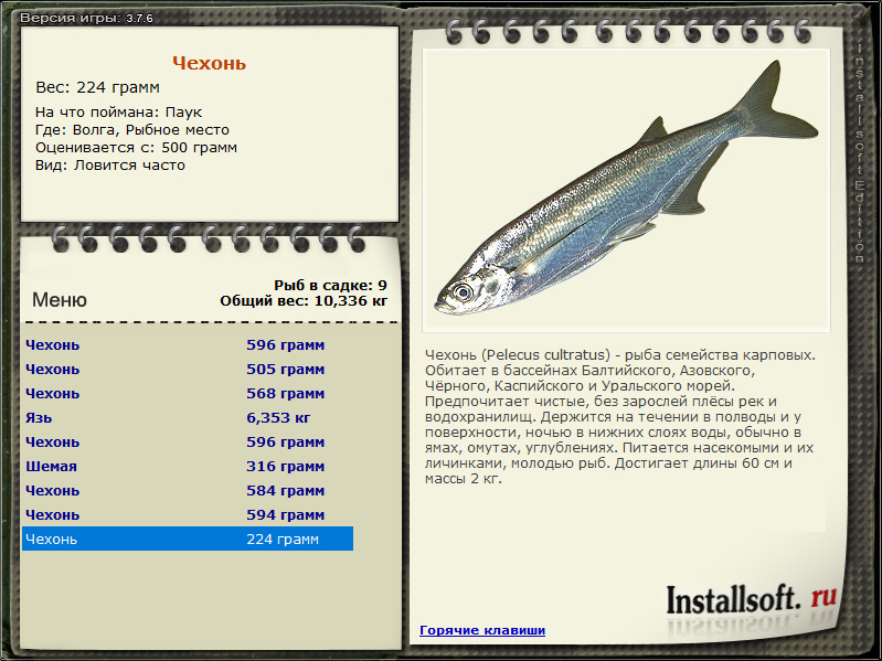 турниры • РУССКАЯ РЫБАЛКА