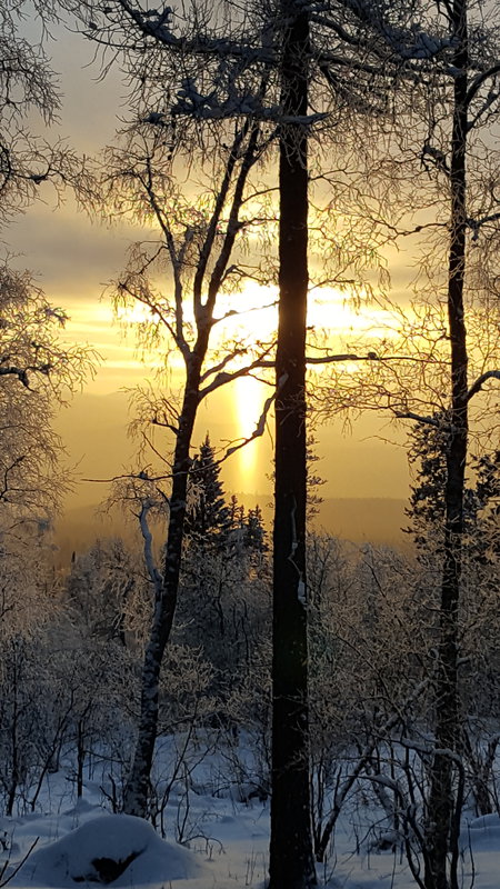  Страница 39 - Форум \\