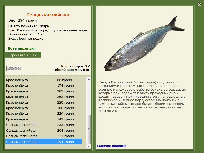 Глубокое синее море 