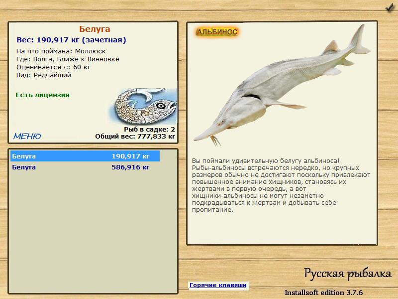 Ближе к Винновке 