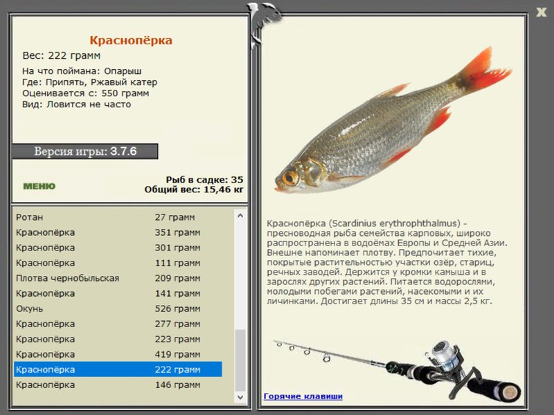 РУССКАЯ РЫБАЛКА Installsoft Edition 