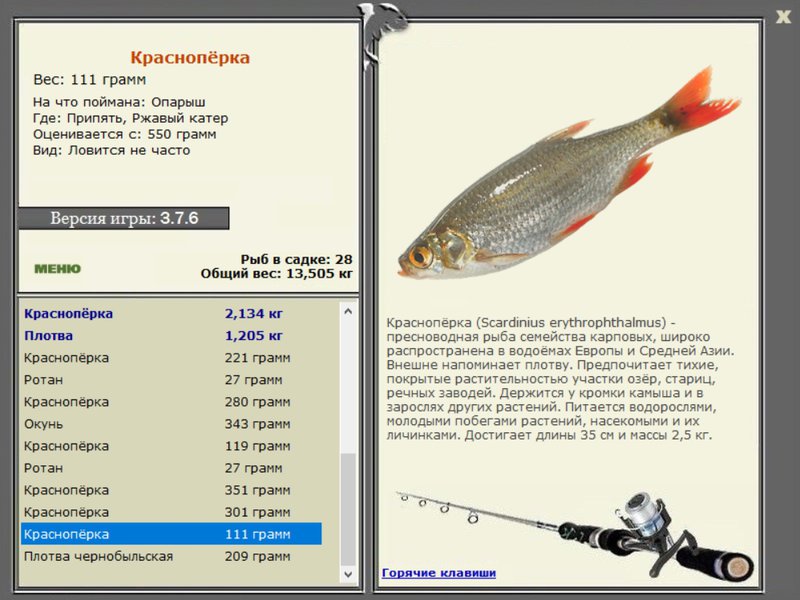 РУССКАЯ РЫБАЛКА Installsoft Edition 